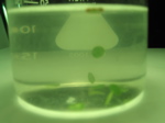 green2